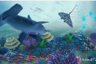 kuauyun手机正式版